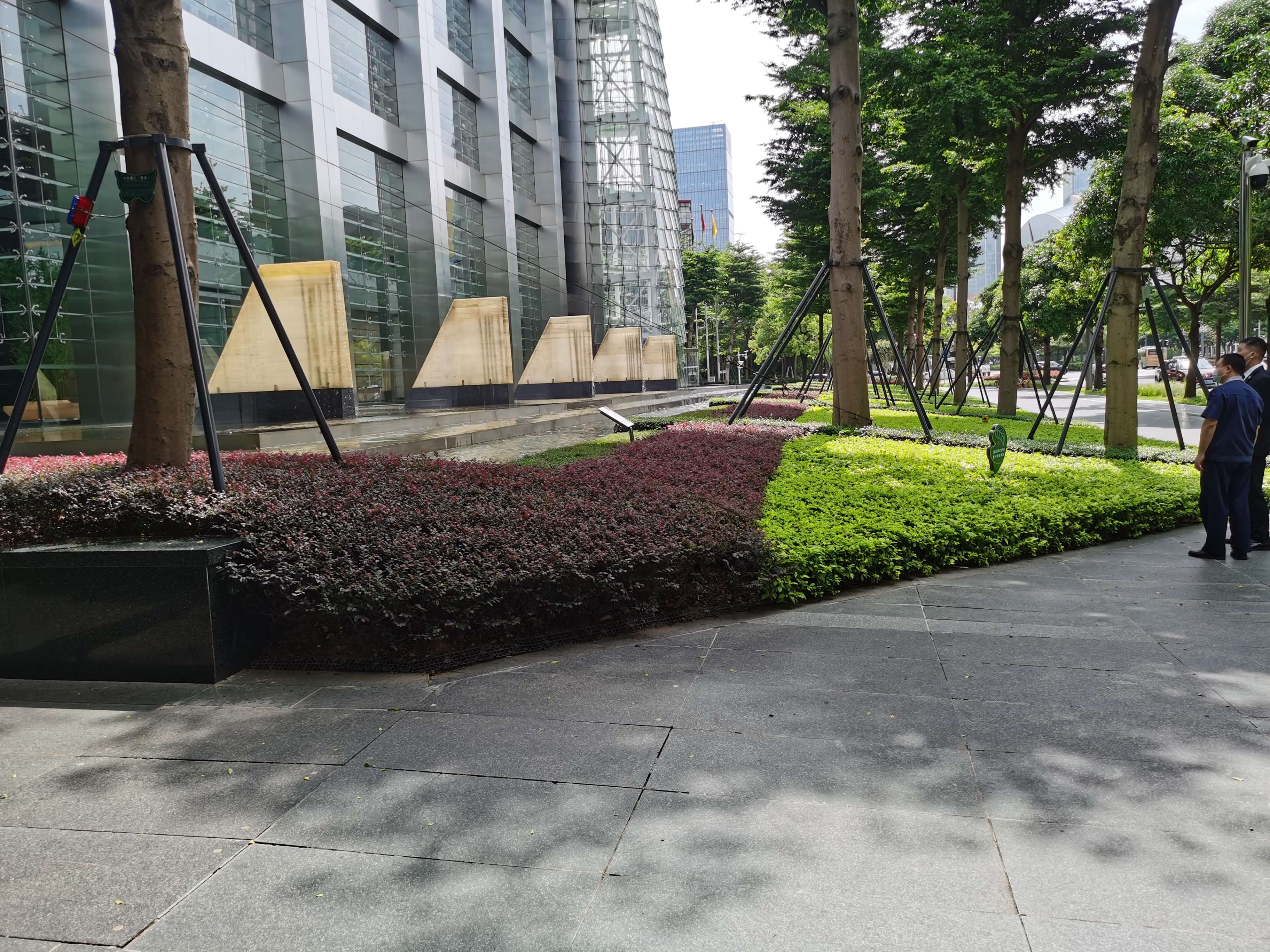 綠化維護