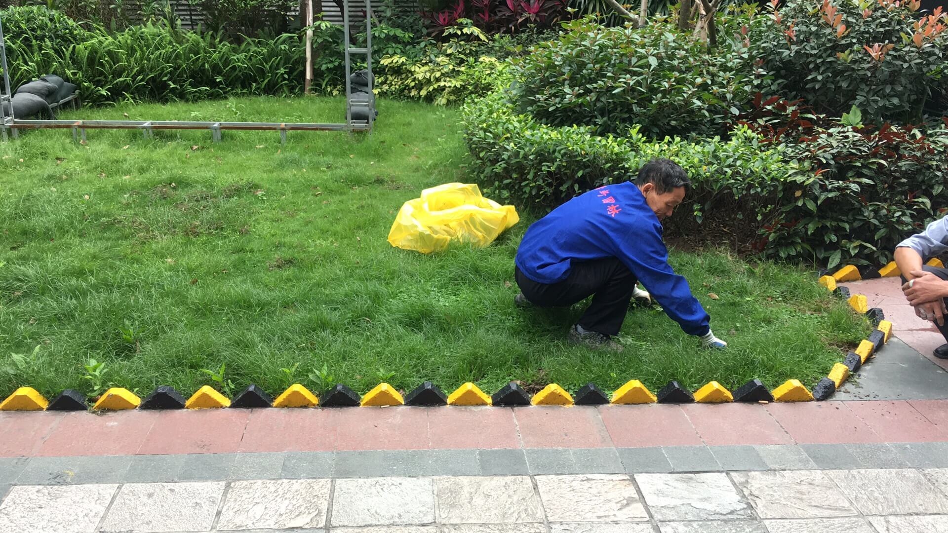 綠化維護 綠化維護