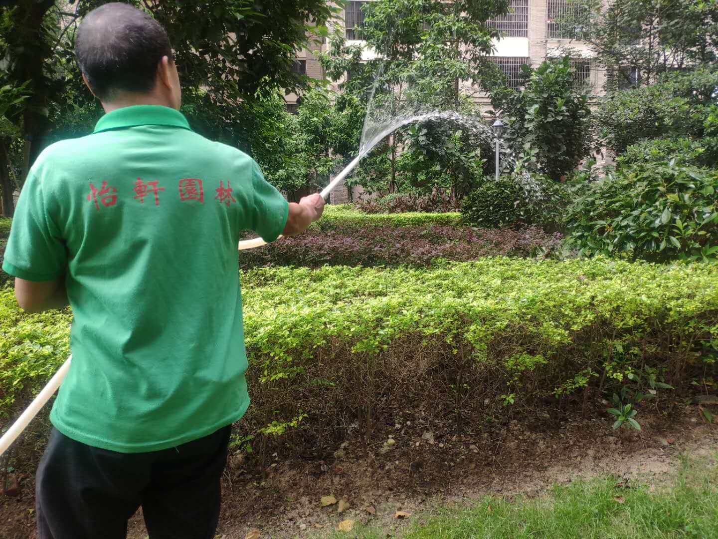 園林綠化養護