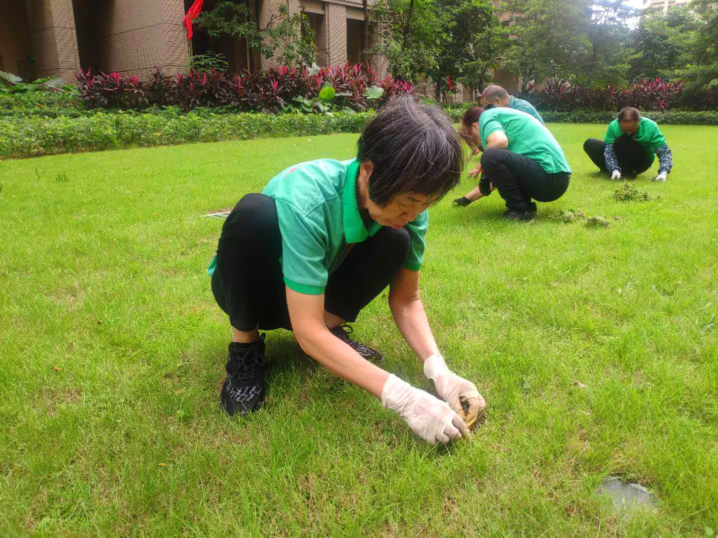 綠化維護