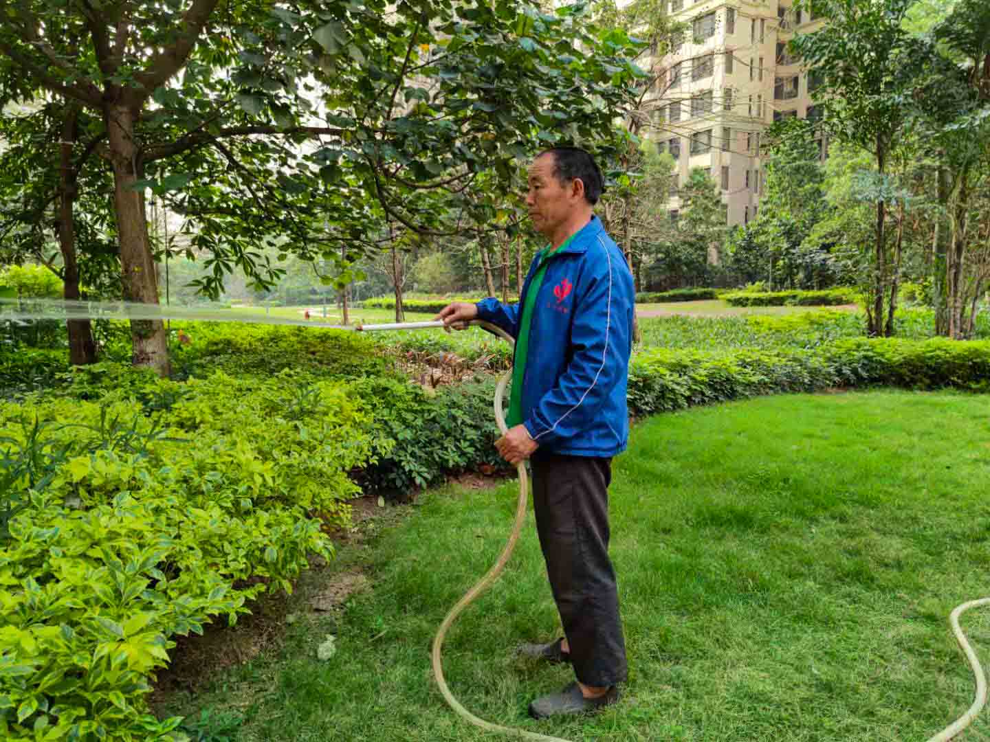 廣州園林綠化養(yǎng)護(hù)，廣州園林綠化養(yǎng)護(hù)公司，園林綠化養(yǎng)護(hù)