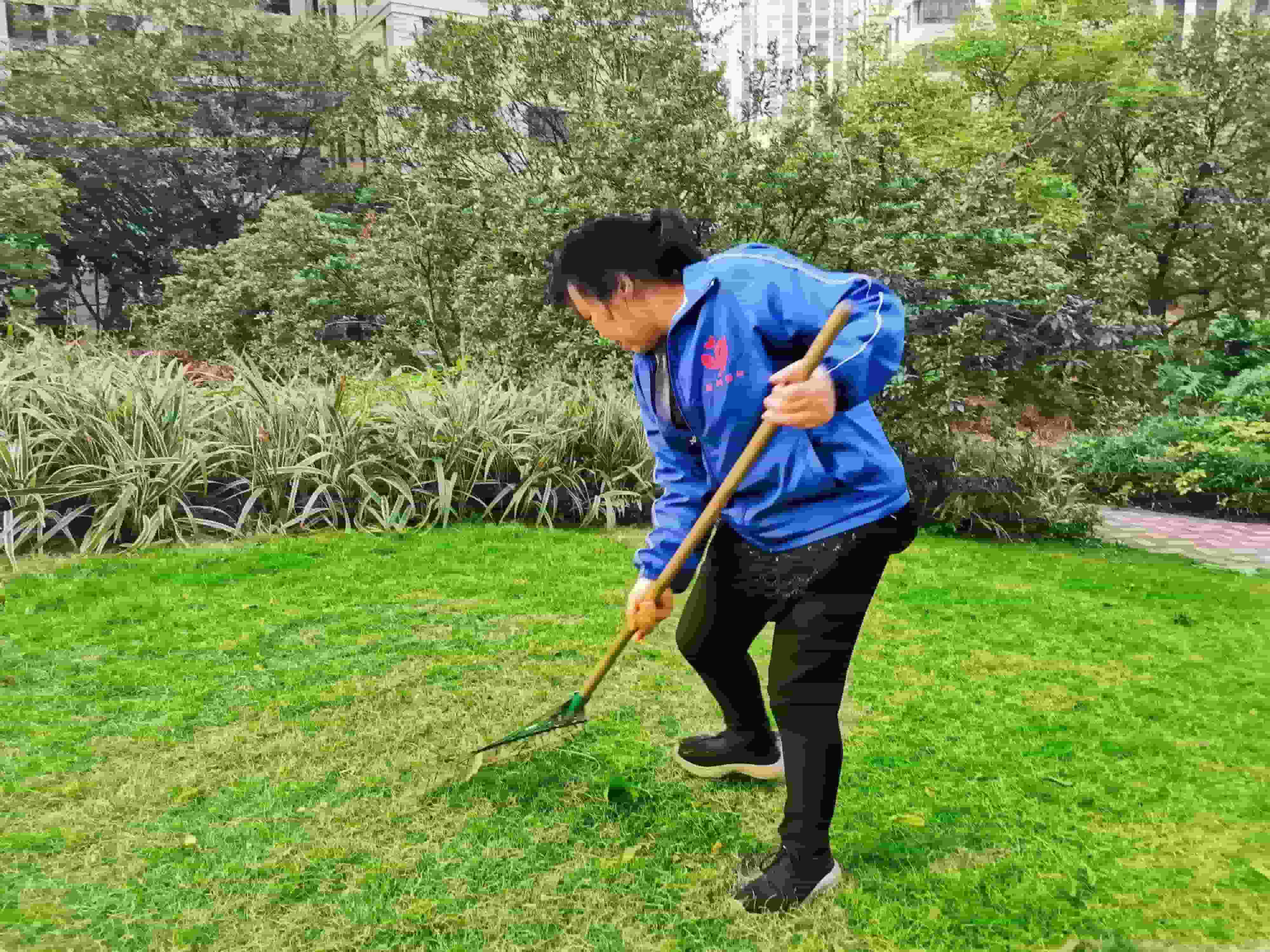 綠化養(yǎng)護