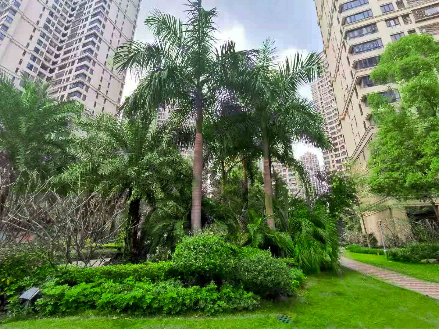 園林綠化