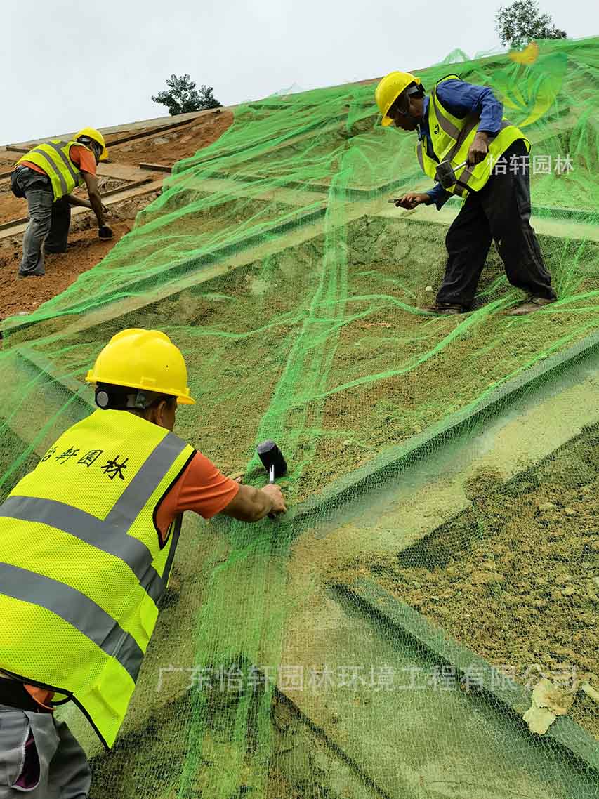 綠化工程 綠化工程