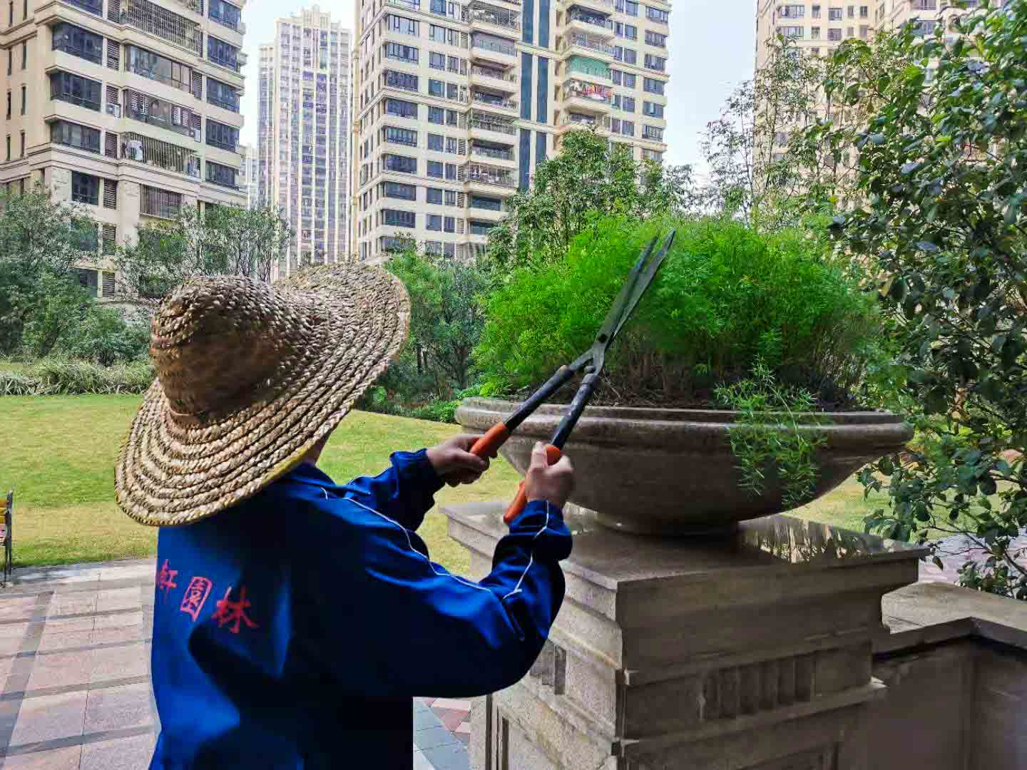 園林綠化工程