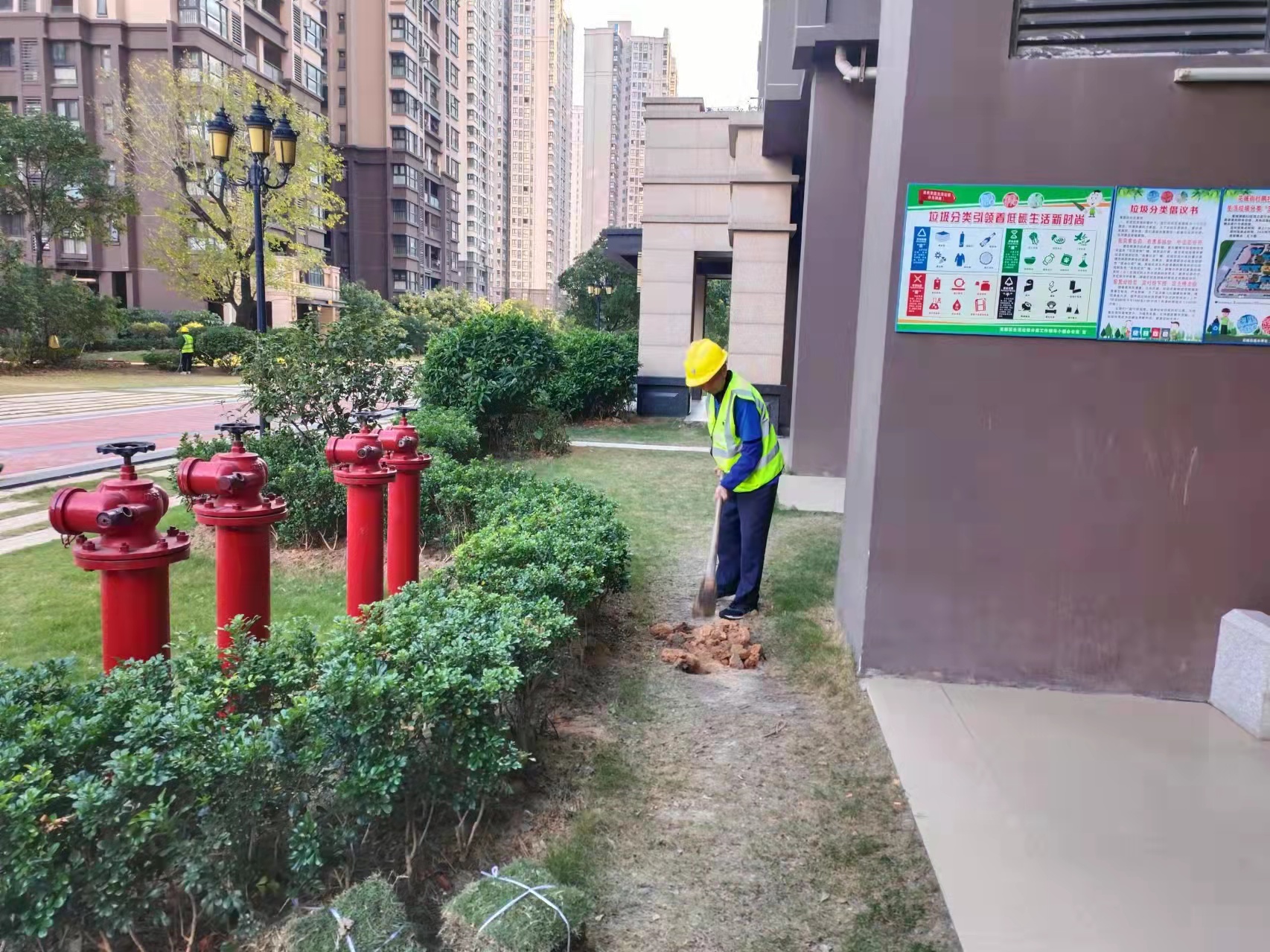 鴨腳木，佛山綠化公司