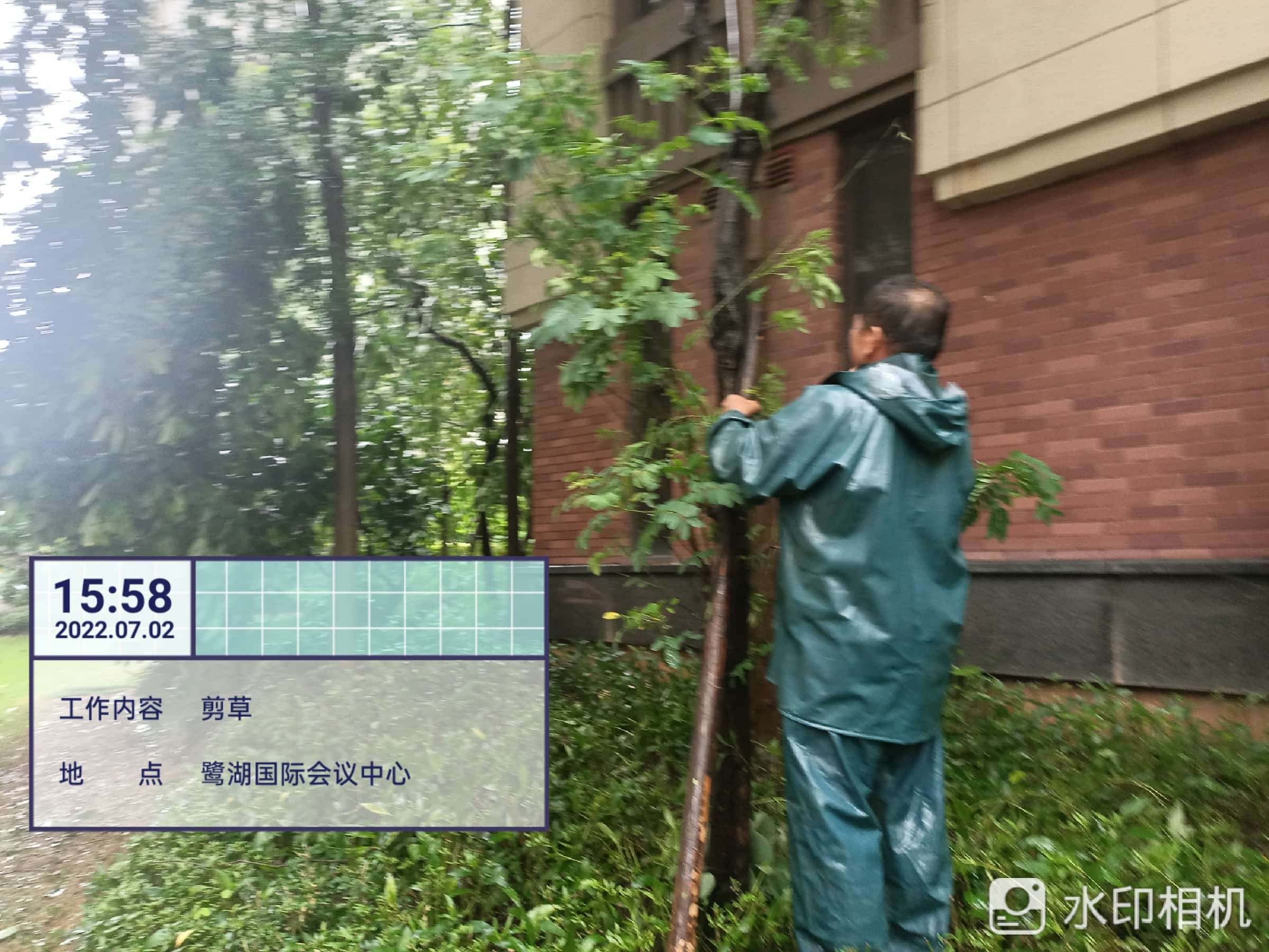 園林綠化公司,綠化養(yǎng)護(hù),園林綠化