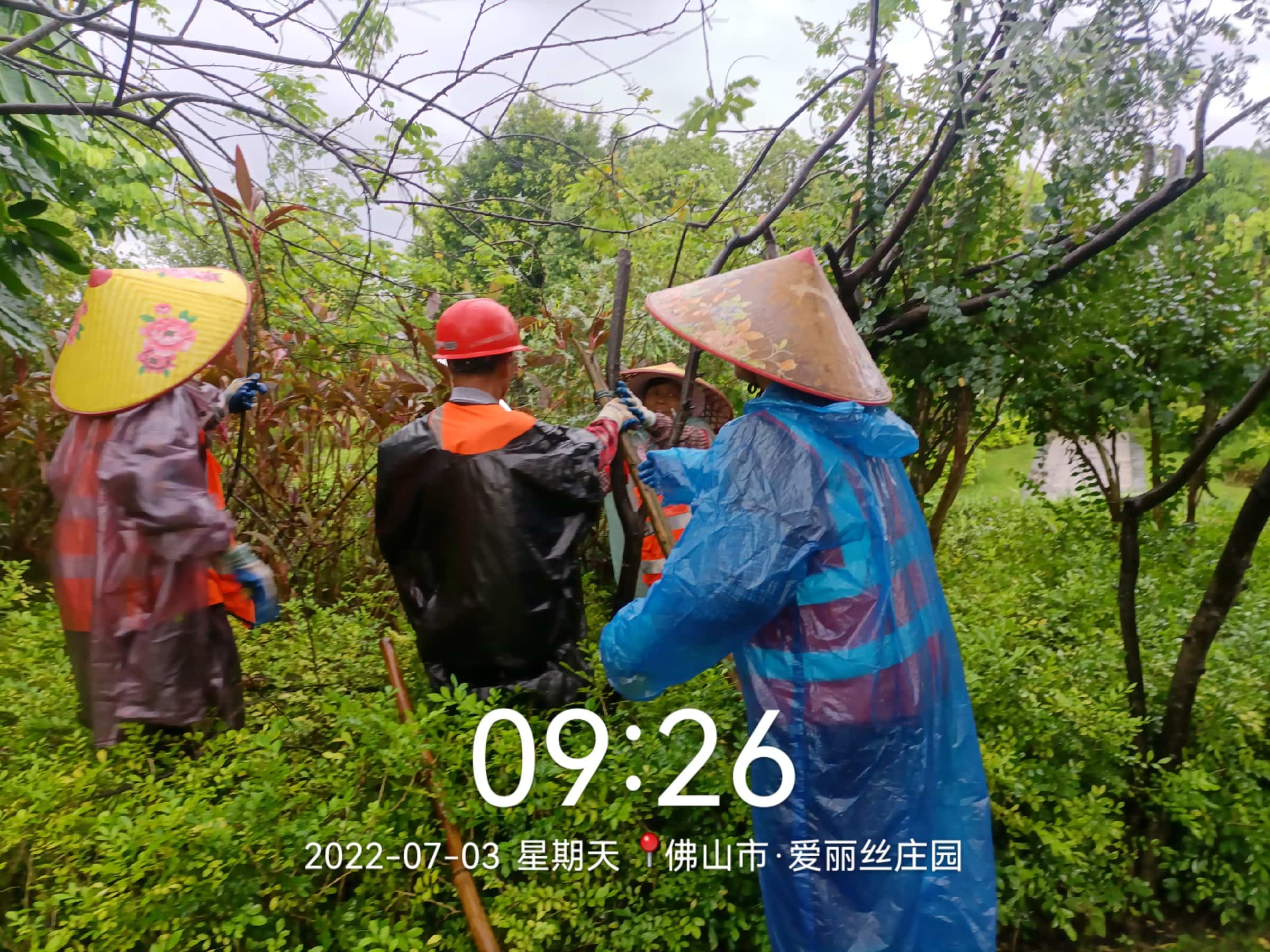 園林綠化公司,綠化養(yǎng)護(hù),園林綠化