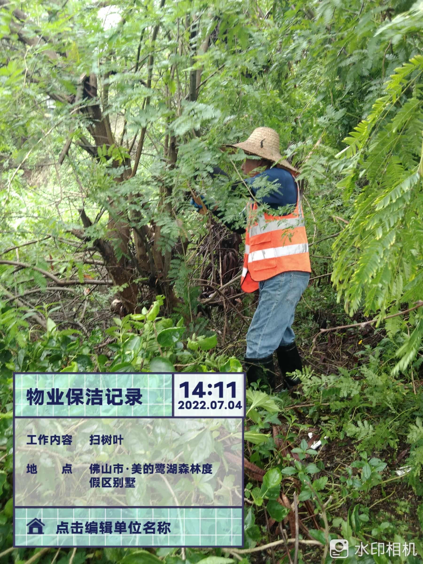園林綠化公司,綠化養(yǎng)護(hù),園林綠化