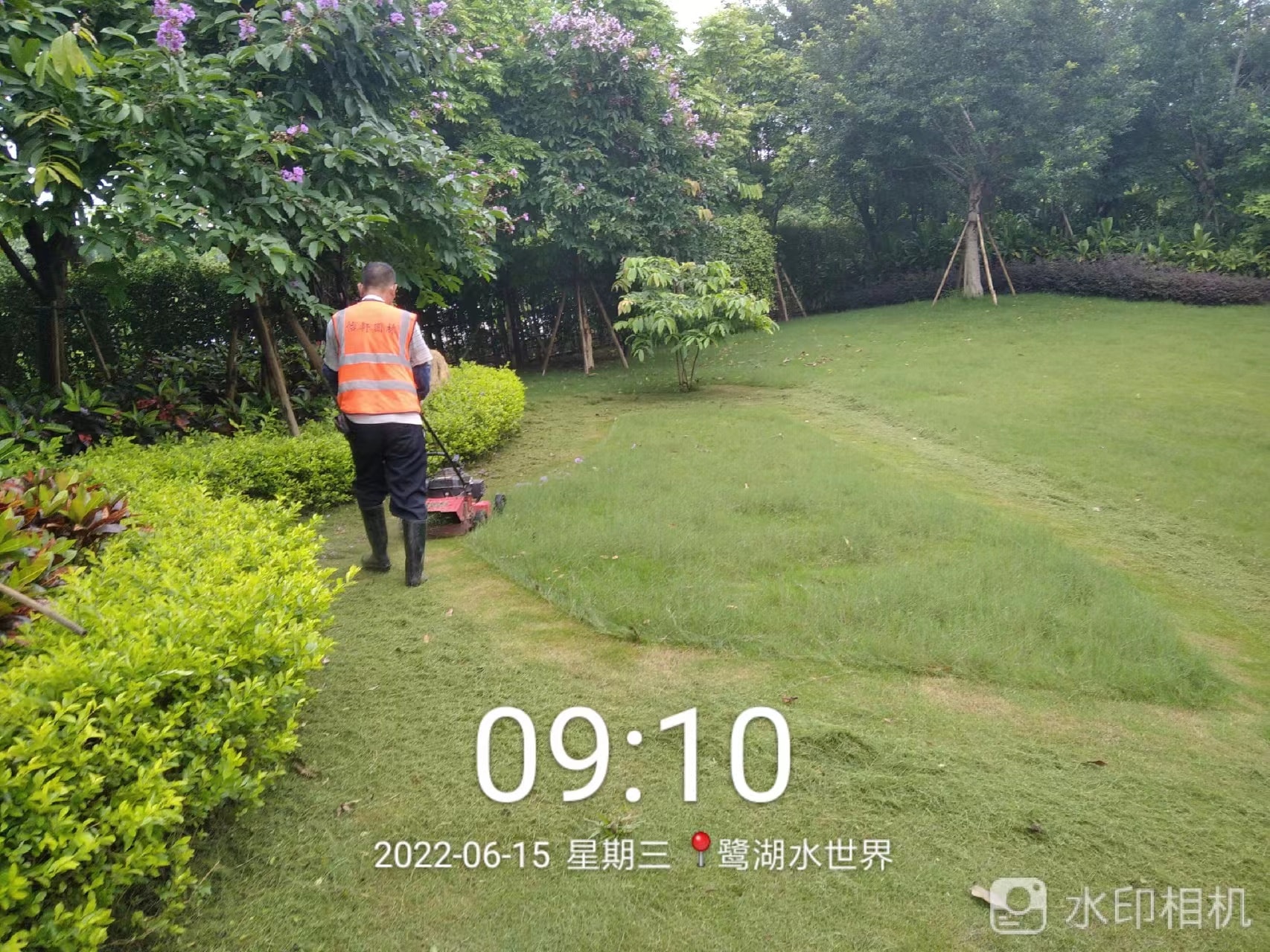 園林養(yǎng)護