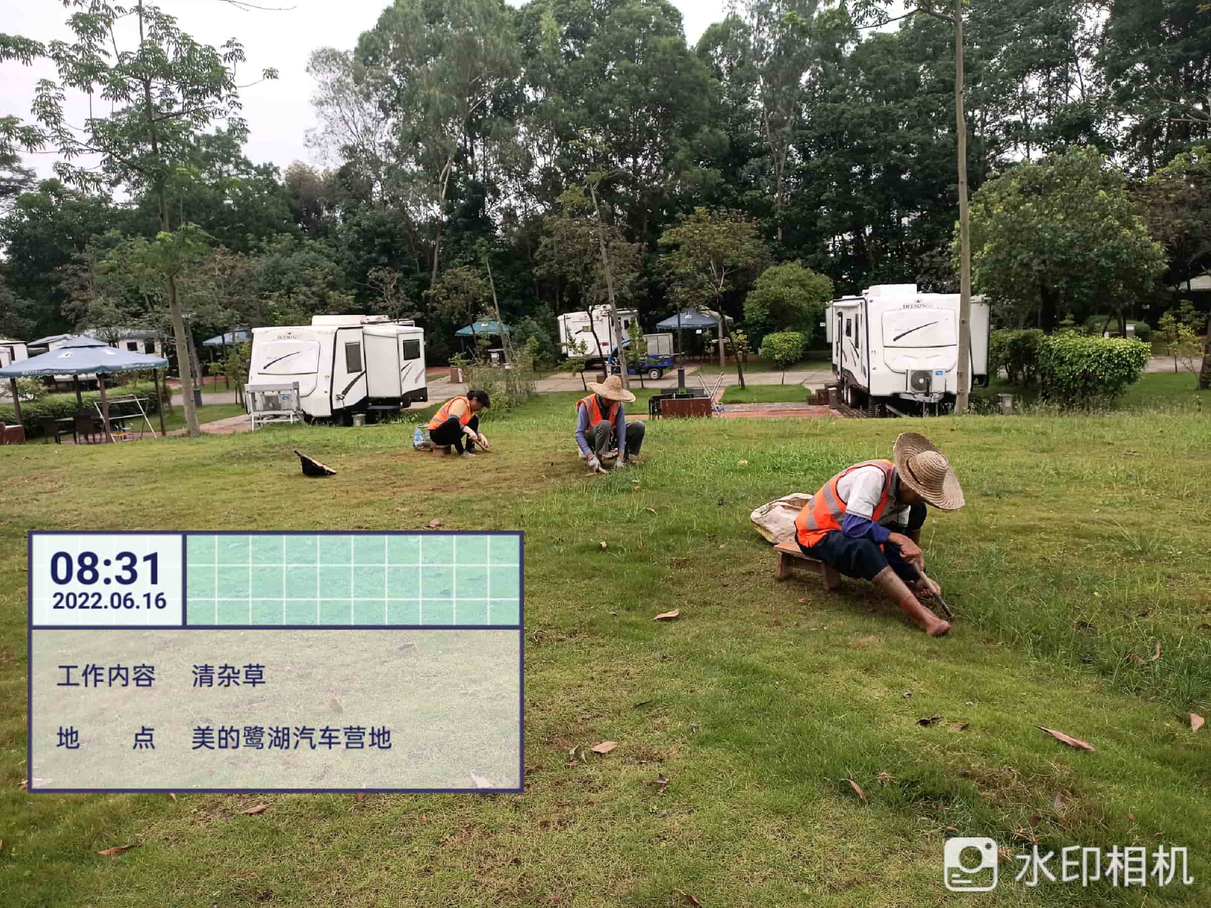 園林養(yǎng)護