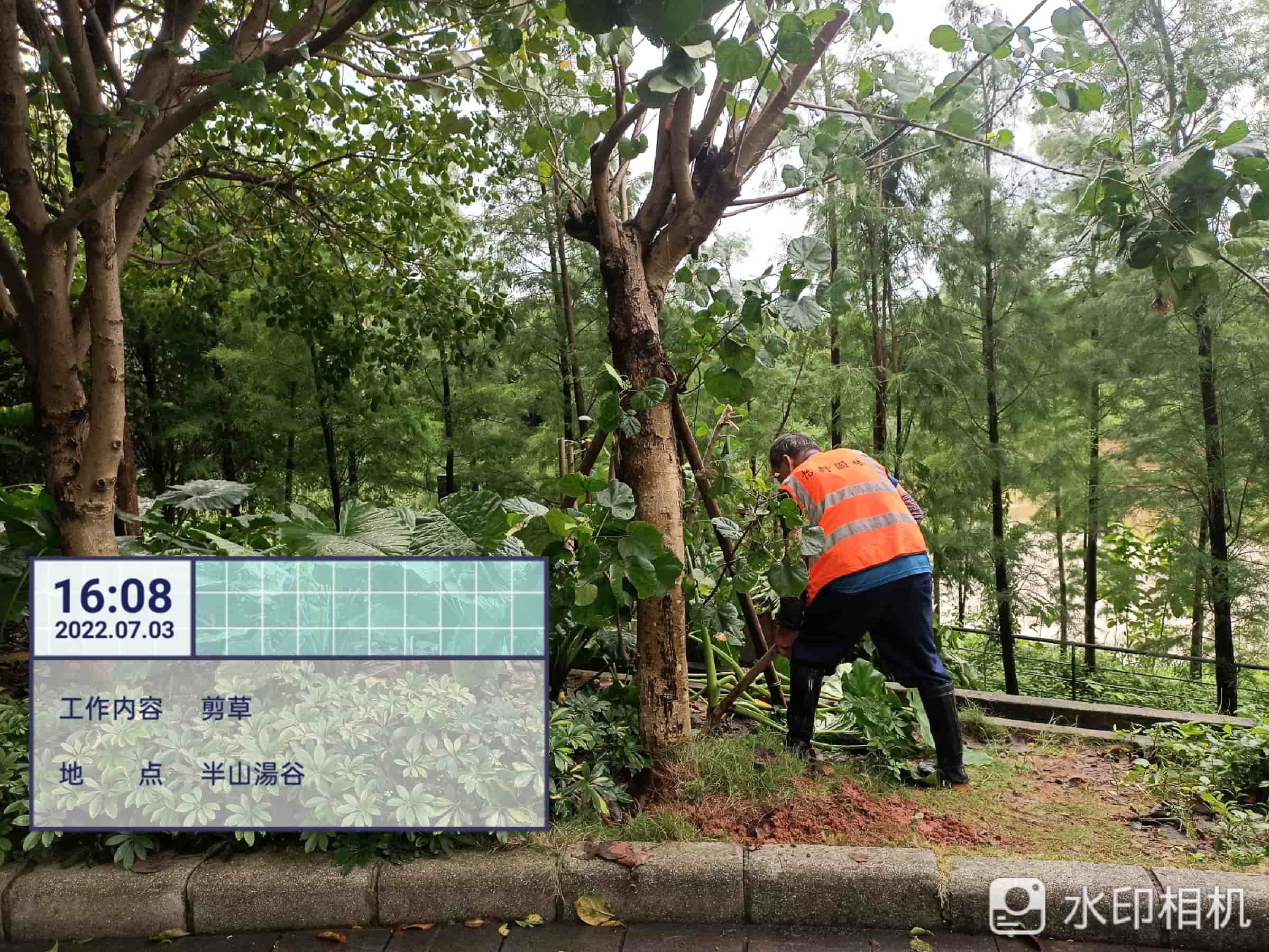 園林綠化工程