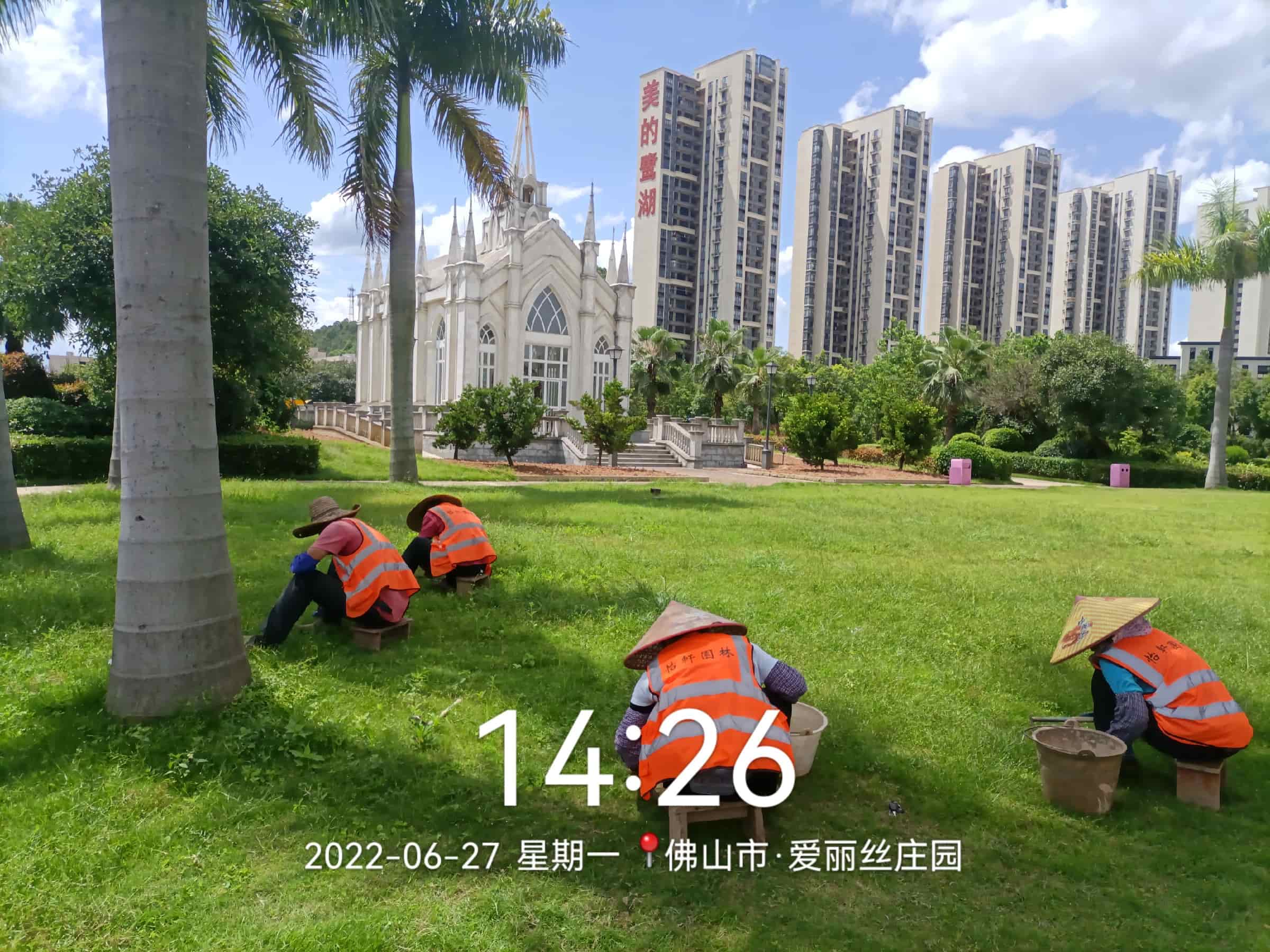 園林綠化 園林綠化